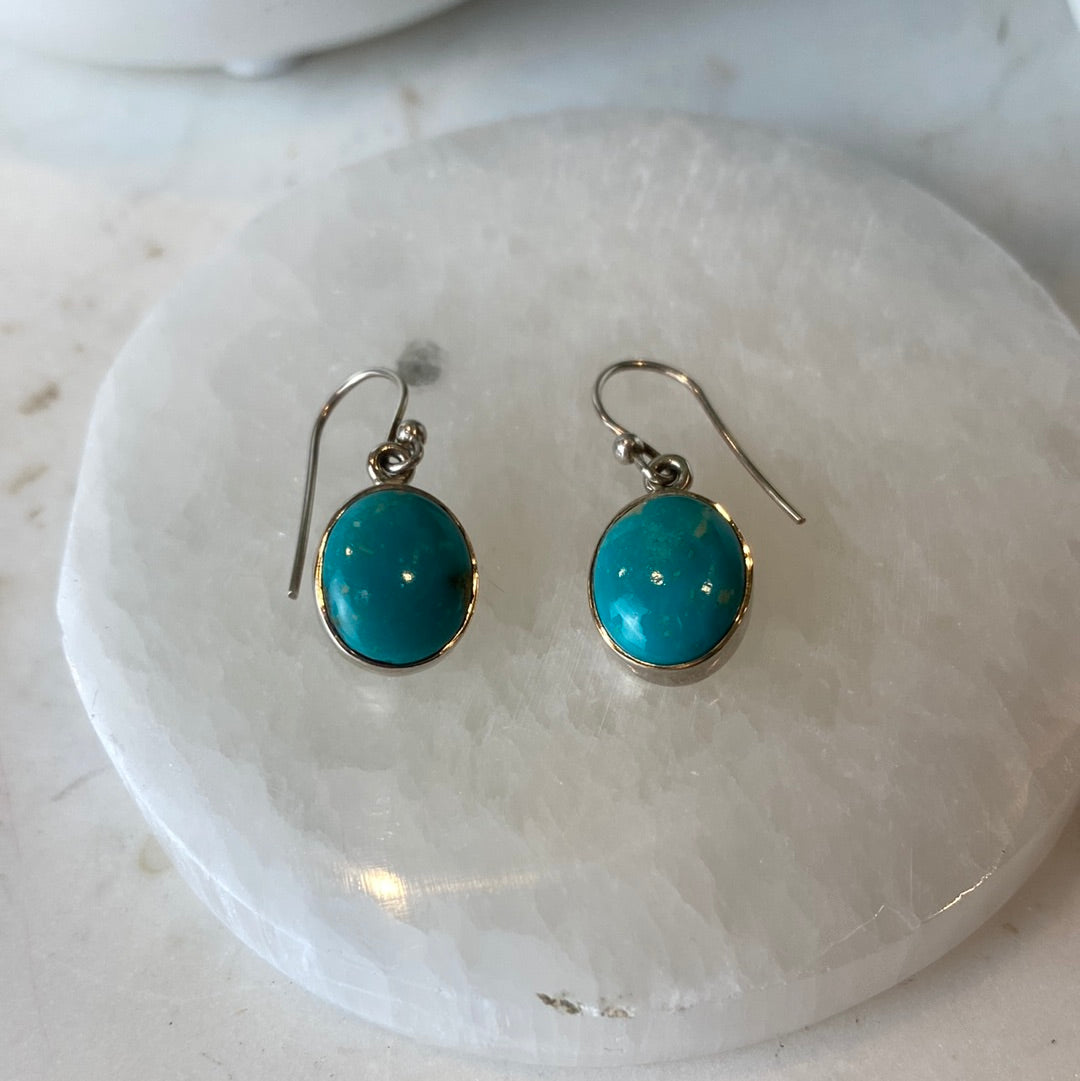 Turquoise Polished Sterling Silver Dangle Earrings