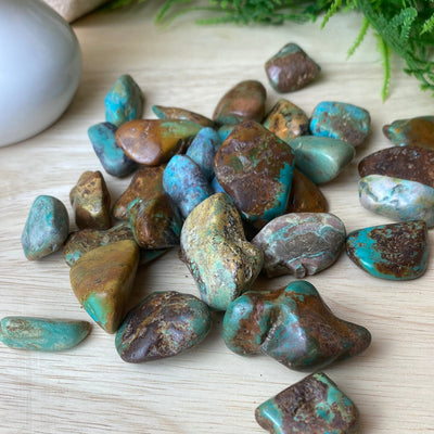 Turquoise Tumbled Stone 1 Inch *Sold Individually*