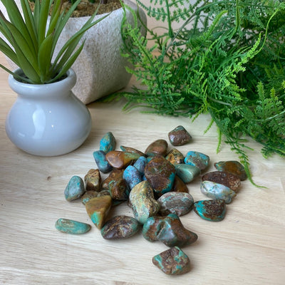 Turquoise Tumbled Stone 1 Inch *Sold Individually*