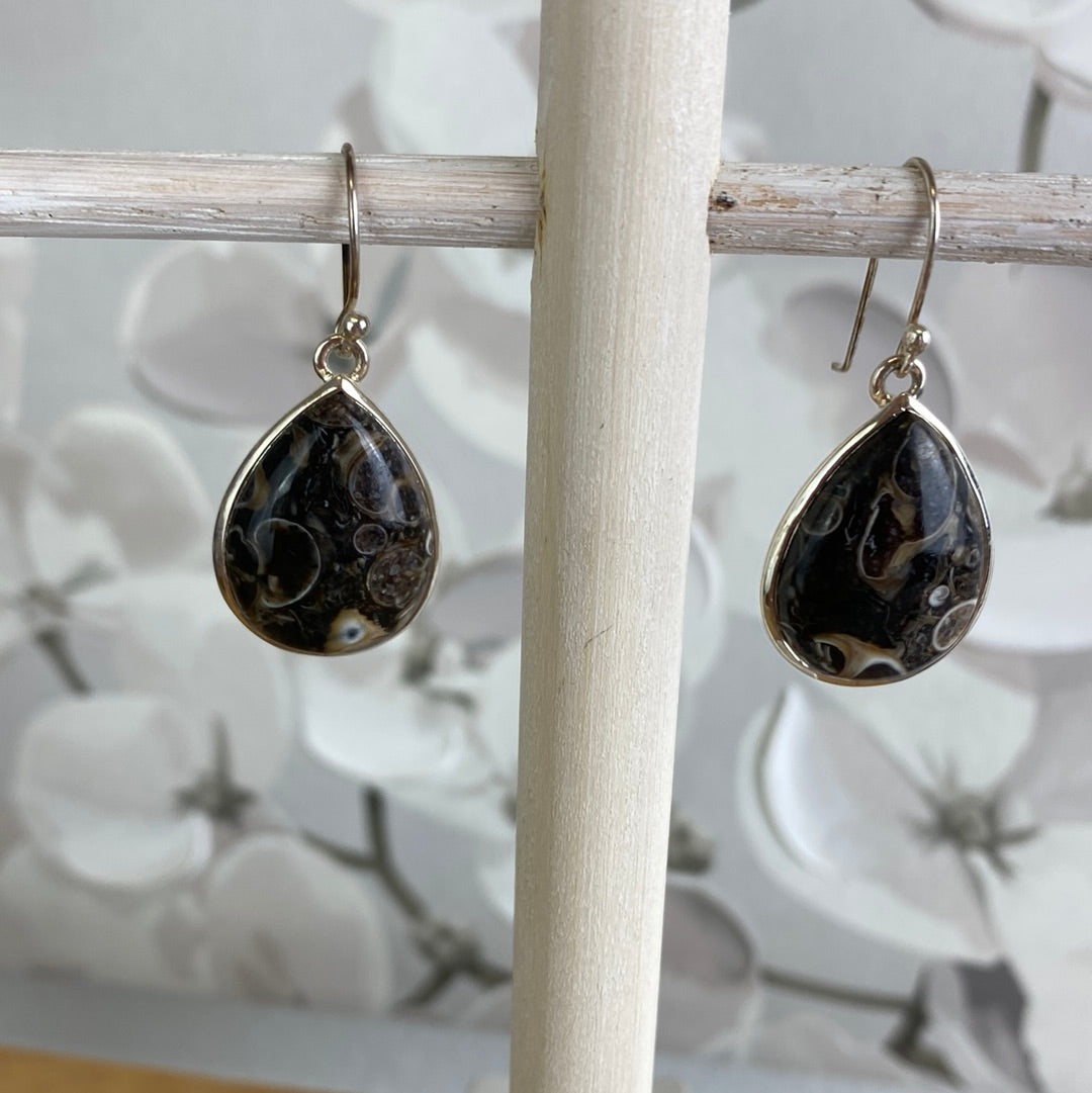 Turritella Agate (Snail Fossil) Teardrop Earrings in sterling silver Setting