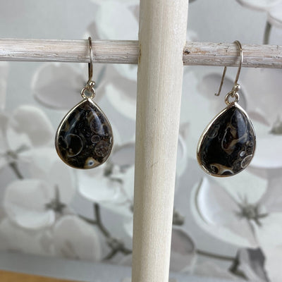 Turritella Agate (Snail Fossil) Teardrop Earrings in sterling silver Setting