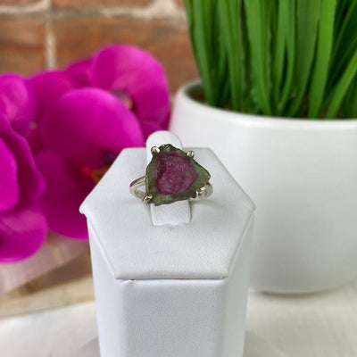 Watermelon Tourmaline Slice Ring with sterling silver Prong Setting and Sized Band