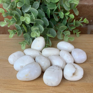 White Snow Agate Tumbled 1-Inch *Sold Individually*