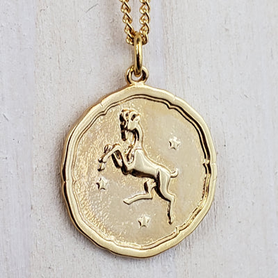 Zodiac Sign Single Layer Medallion Necklace-silver or gold