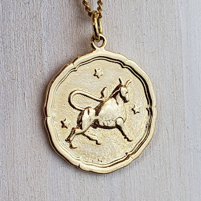 Zodiac Sign Single Layer Medallion Necklace-silver or gold