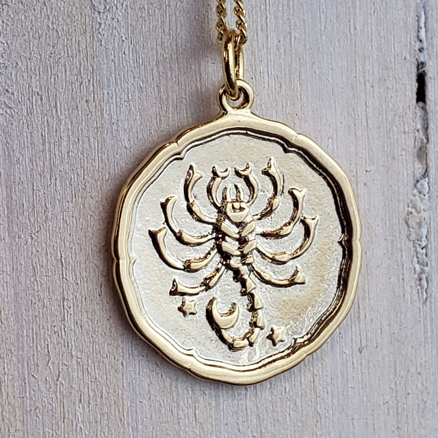 Zodiac Sign Single Layer Medallion Necklace-silver or gold