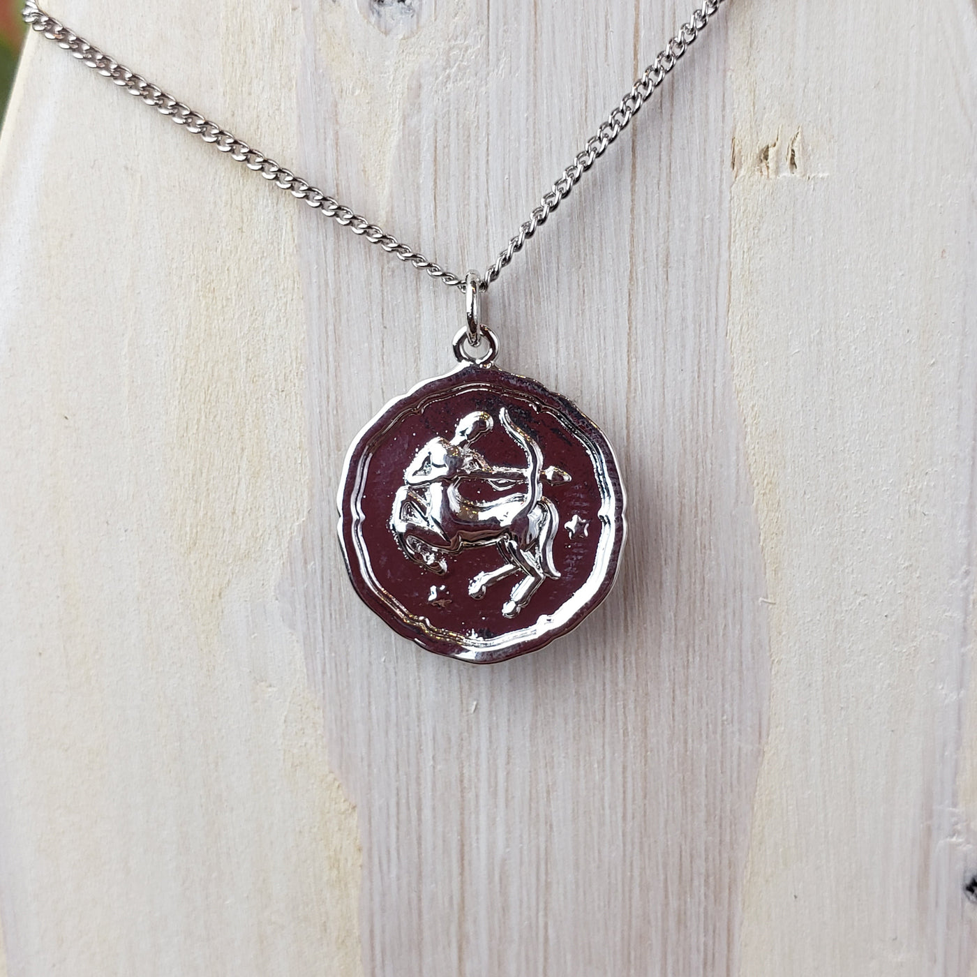 Zodiac Sign Single Layer Medallion Necklace-silver or gold