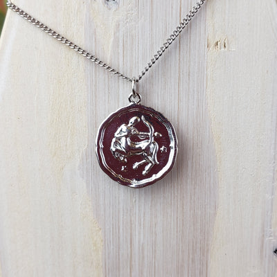 Zodiac Sign Single Layer Medallion Necklace-silver or gold