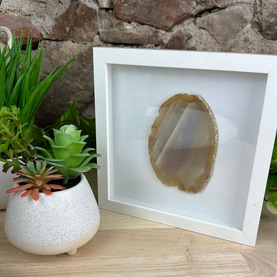 Agate Slice in 8 x 8 inch Framed