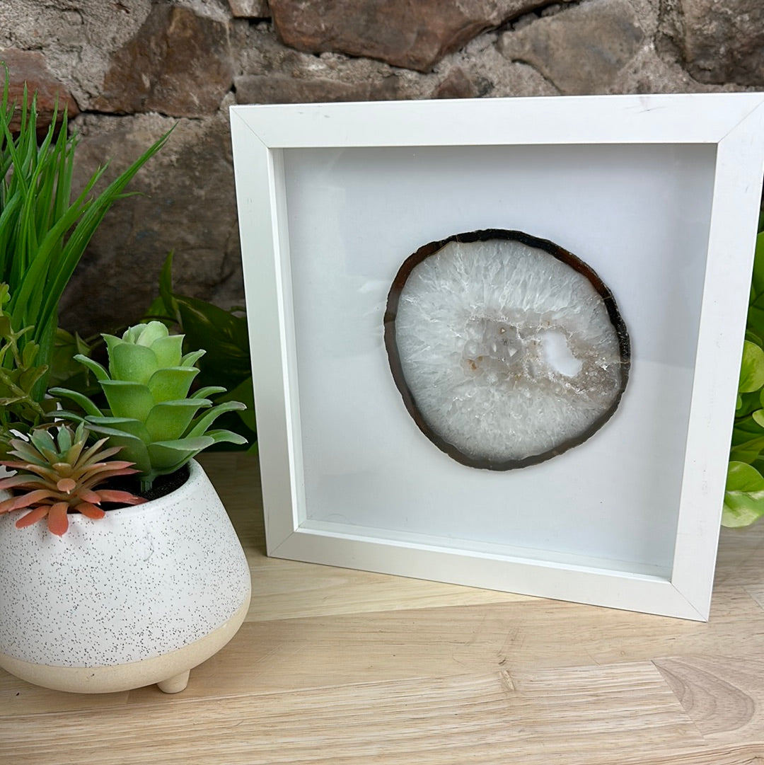 Agate Slice in 8 x 8 inch Framed