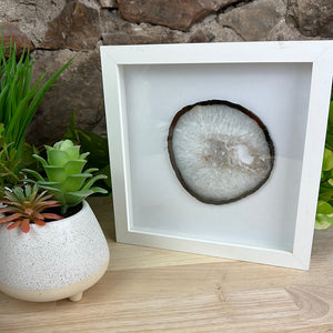 Agate Slice in 8 x 8 inch Framed