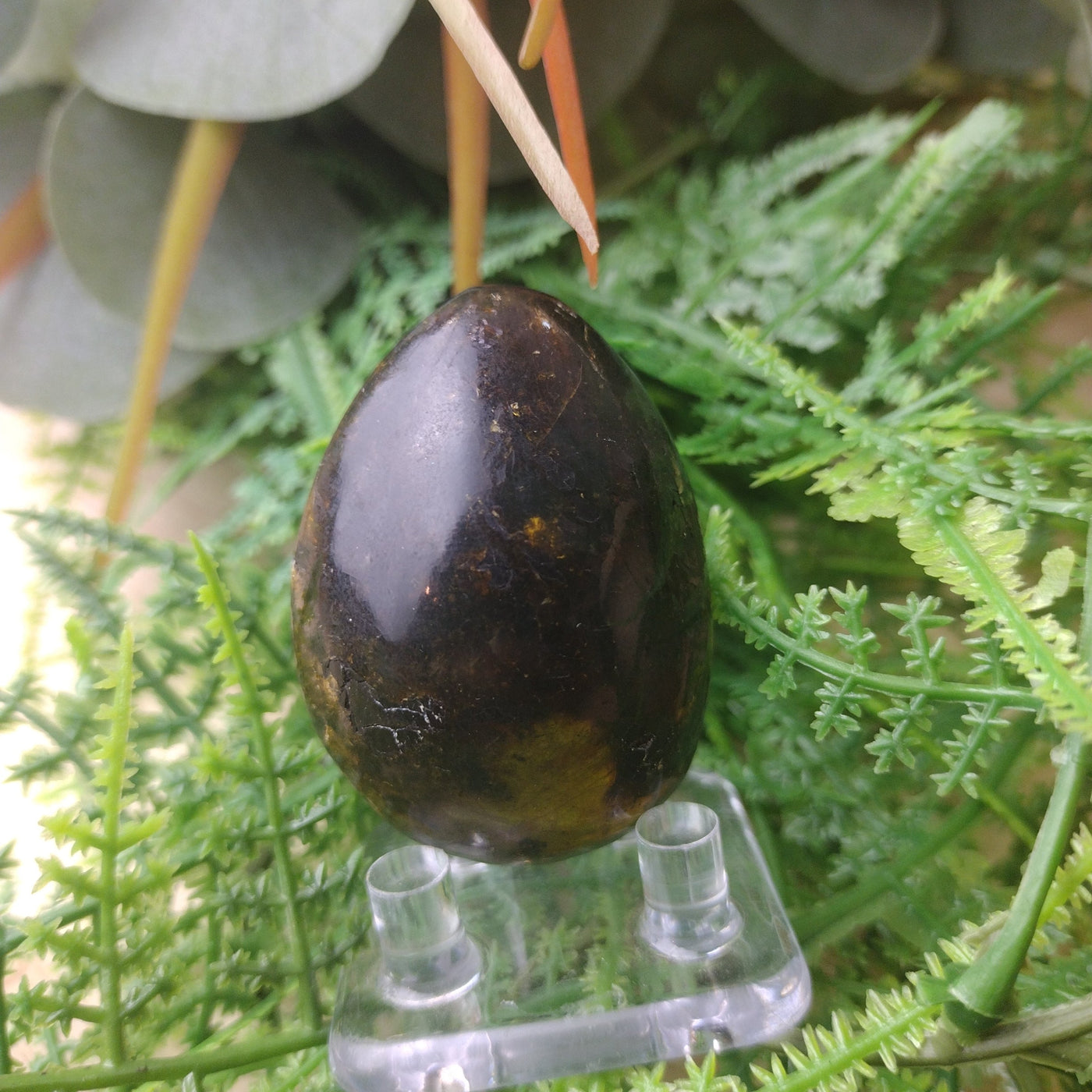 Amber Natural Specimens