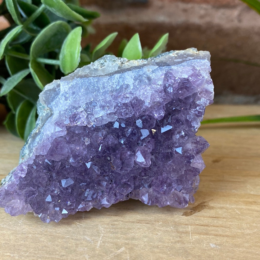 Amethyst Cluster Large 4 to 6"