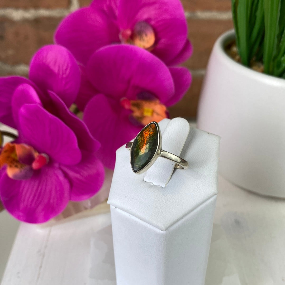 Ammolite Polished Ring in Sterling Silver Setting in Marquise Shape - Sized