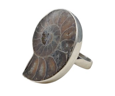 Ammonite Fossil Polished Ring set in Sterling Silver 1 to 1.5 inch- Sized