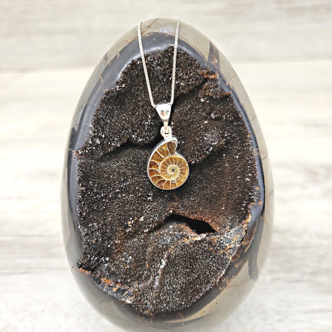 Ammonite Sterling Silver Bezel Pendant