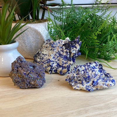 Azurite Mixed Minerals- Sierra Rica Chihuahua Mexico