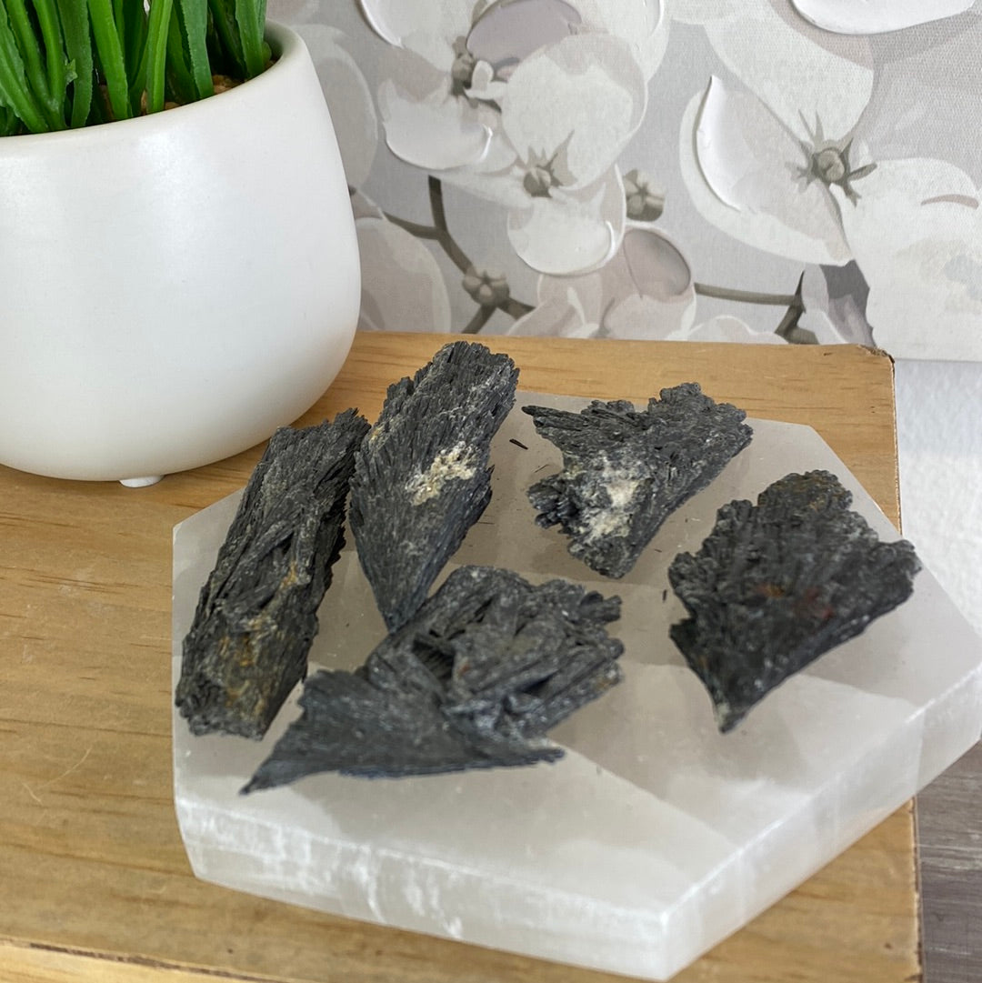 Black Kyanite Specimen-approximately 2" to 4"