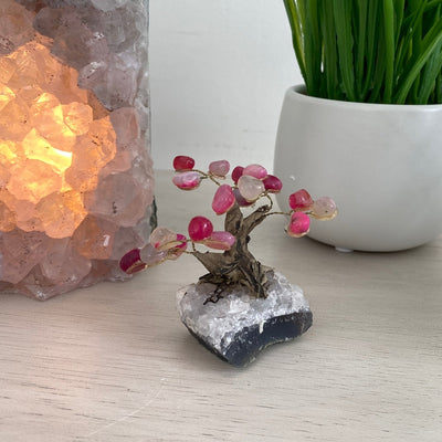 Bonsai Tree with Gemstone Base Small