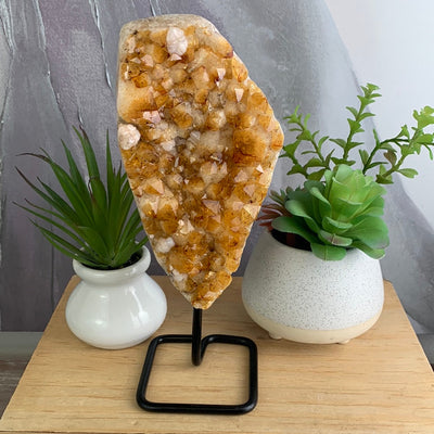 Citrine Cluster on Stand 4-12"