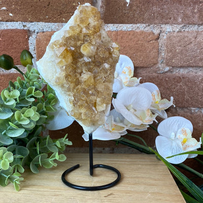 Citrine Cluster on Stand 4-12"