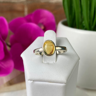 Citrine Polished Ring .25" with Sterling Silver Sized Band