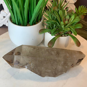 Clear Quartz or Smoky Quartz Natural Point 6-8"