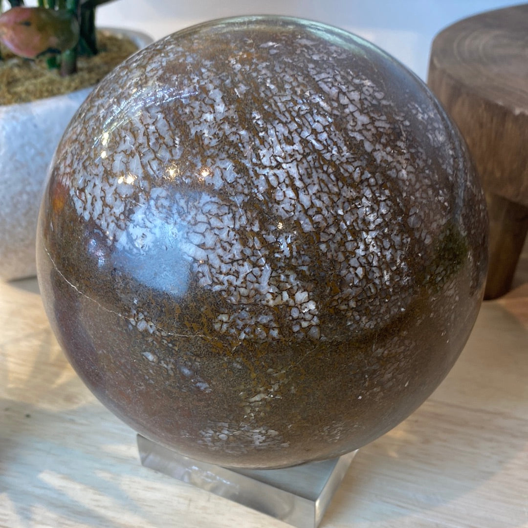 Dinosaur Bone Sphere-Variants – Crystal Joys