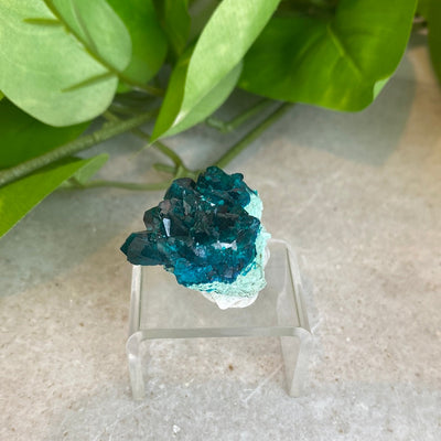 Dioptase 1 inch Crystal