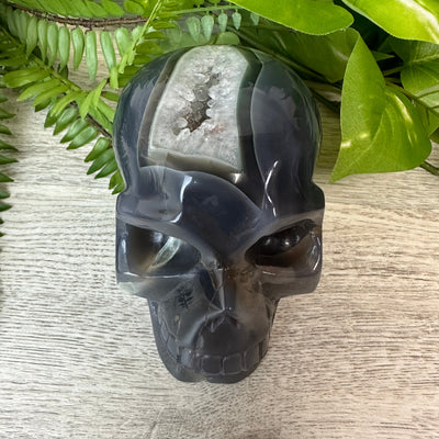 Druzy Agate Skull 4.5"