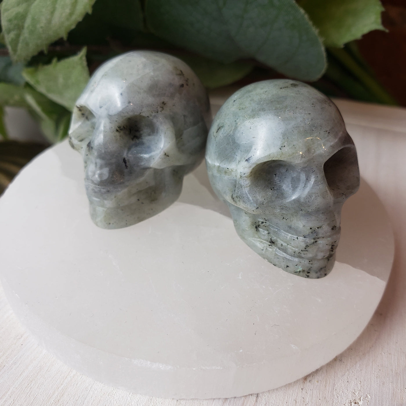 Gemstone Carved Skulls 1" - Various Gemstones
