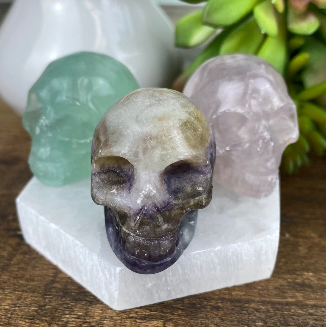 Gemstone Skull 1.5" - Assorted