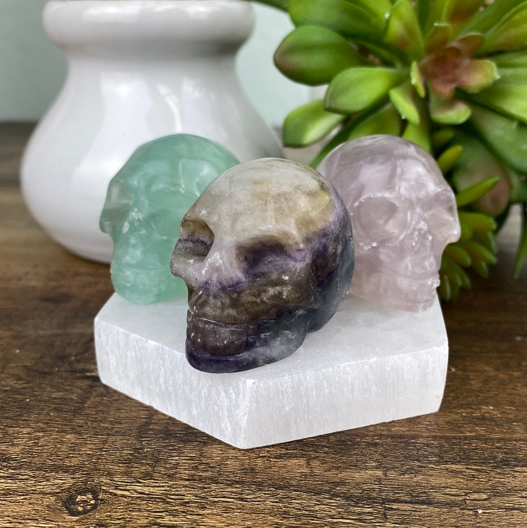 Gemstone Skull 1.5" - Assorted