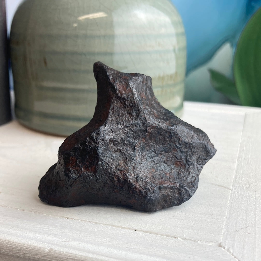 Gibeon Meteorite 2-9" & 0.3-9 lbs