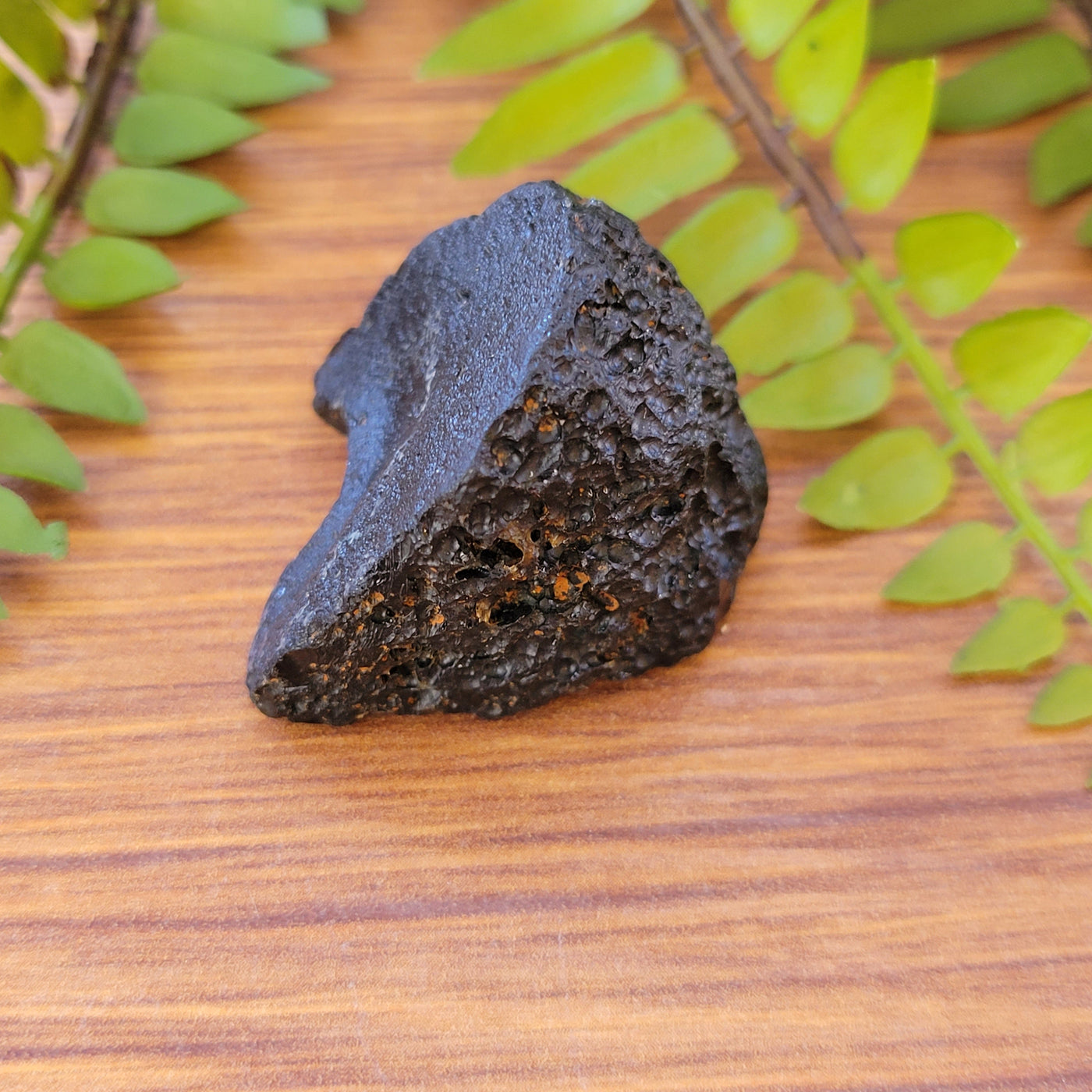 Indo-Malay Tektite 1"x 1.5"