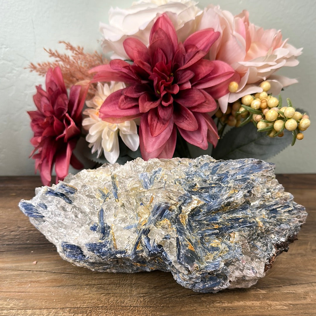 Kyanite Rough Statement Pieces 9" x 6"