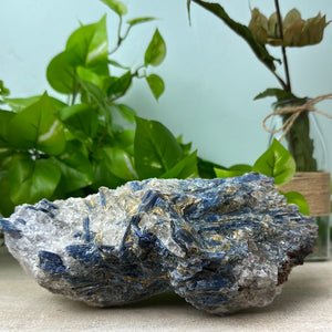 Kyanite Rough Statement Pieces 9" x 6"