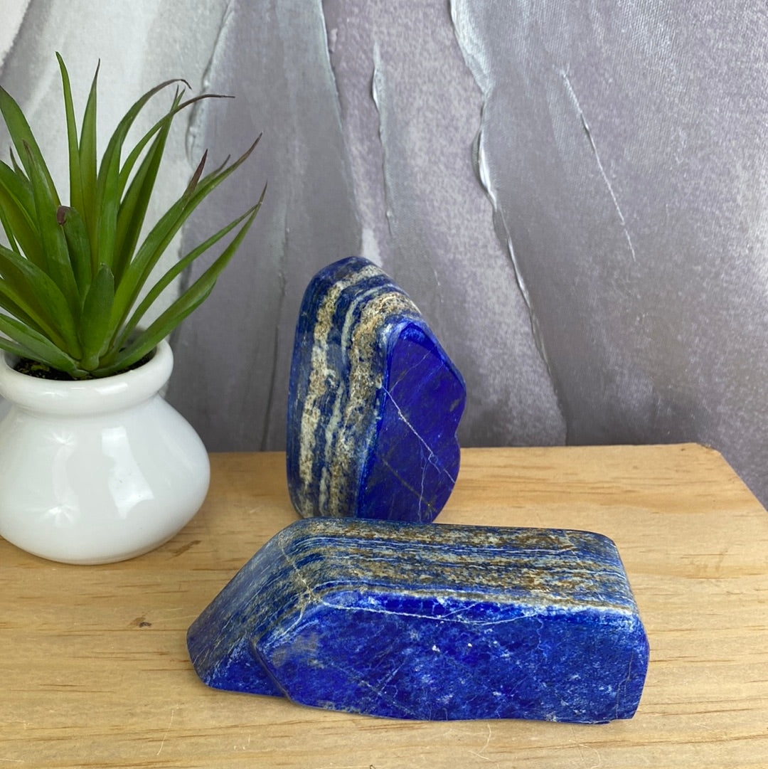 Lapis Lazuli Polished Freeform -Various Sizes