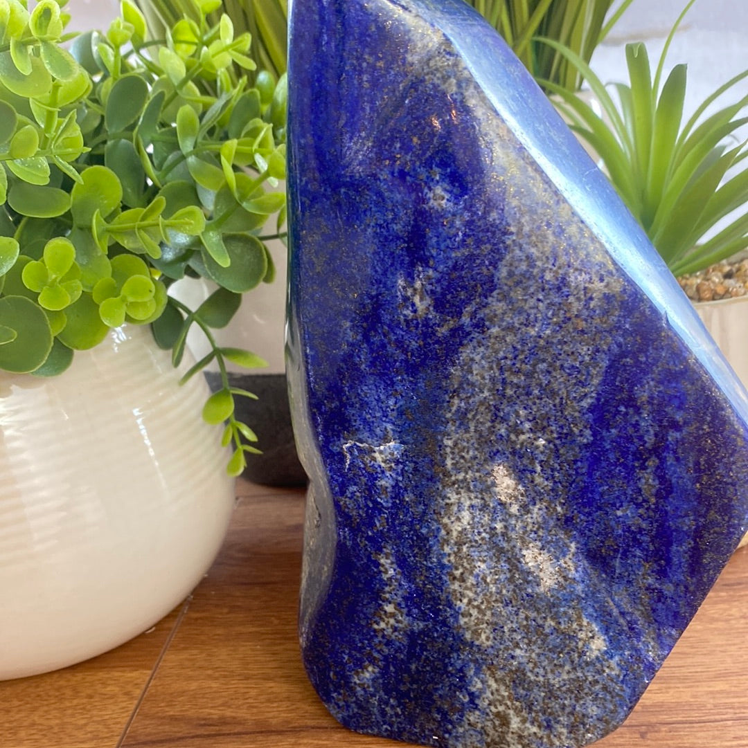 Lapis Lazuli Polished Freeform -Various Sizes