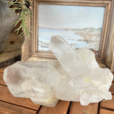 Lemurian Quartz Cluster Statement- 1.795kg
