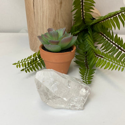 Lemurian Seed Crystal (2” x 1.25”)