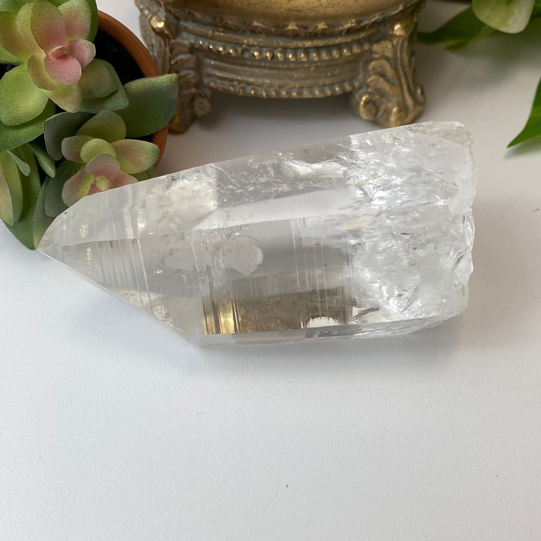 Lemurian Seed Crystal 8m (3.5” x 2”)