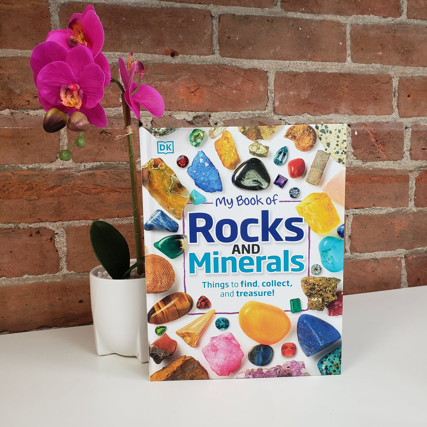 My Book of Rocks & Minerals Book