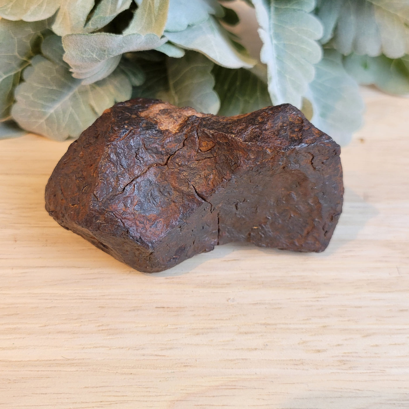 Odessa Texas Meteorite 3.5"x 2"