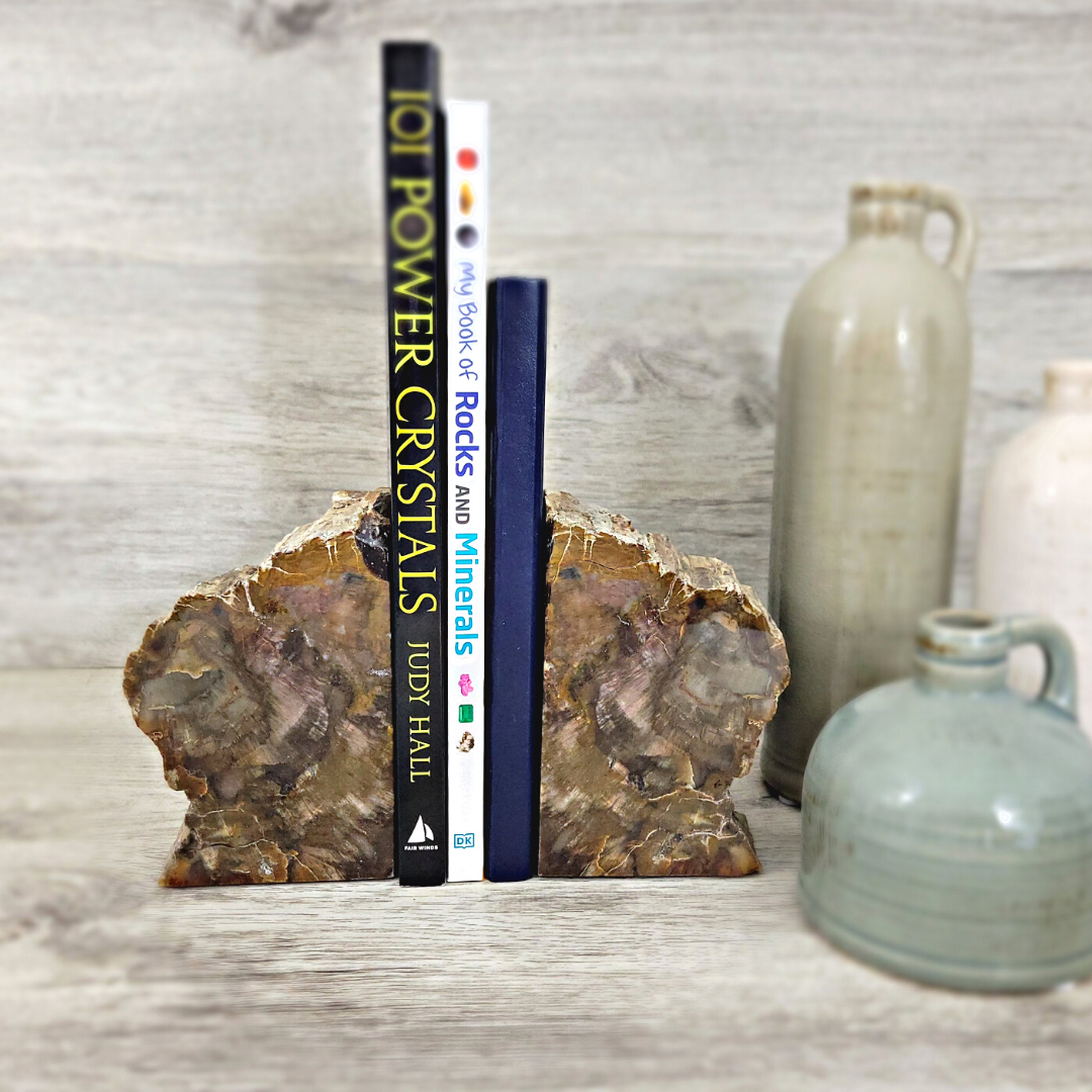 Petrified Wood Bookend Set