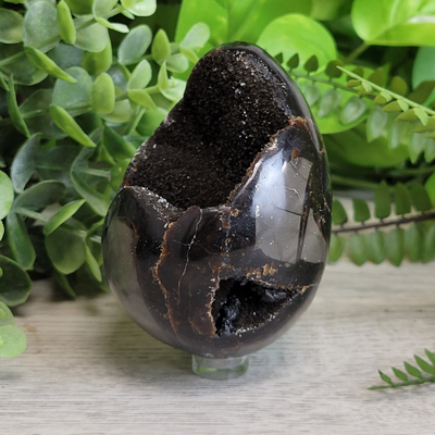 Septarian Dragon Egg 3-4.5" with Geode Center