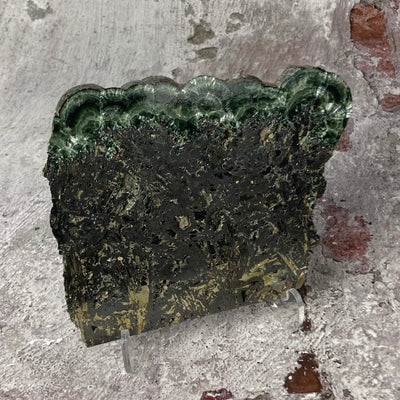 Seraphinite Slice w/ Pyrite Russia 5"x4.5"