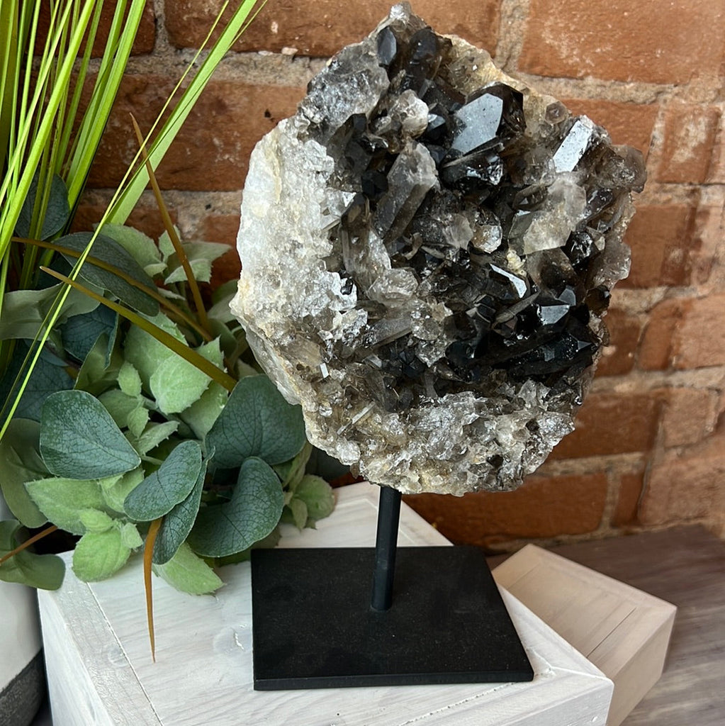 Smoky Quartz Cluster on Stand-Statement Piece