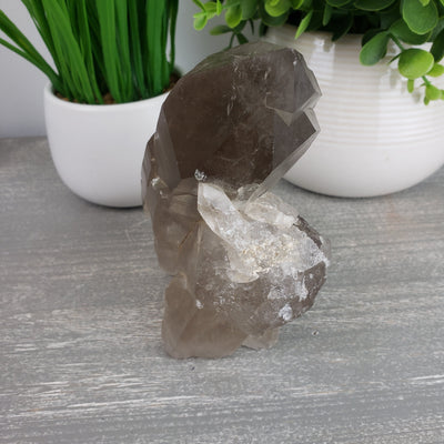 Smoky Quartz Statement Piece - 1.34 kg