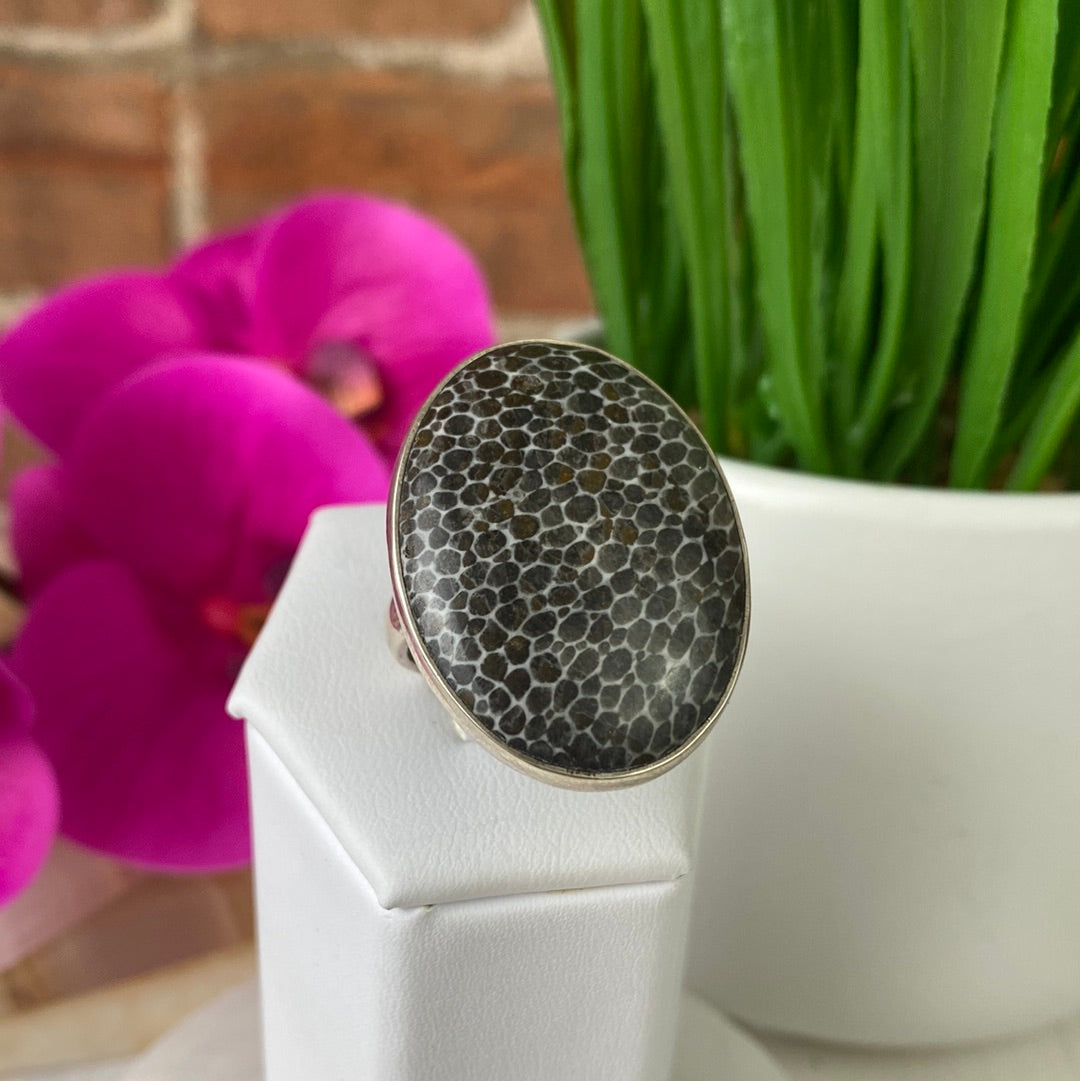 Stingray Fossil Coral Adjustable Ring